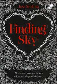 Finding Sky