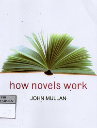 How Novels Work